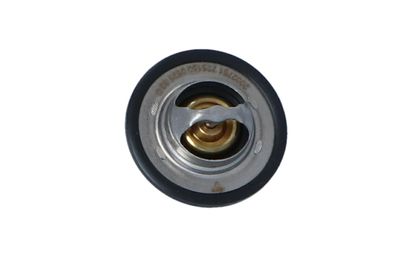 TERMOSTAT LICHID RACIRE NRF 725150 45