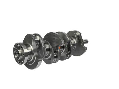 ARBORE COTIT ET ENGINETEAM HK0224 26