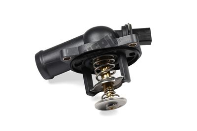 TERMOSTAT LICHID RACIRE