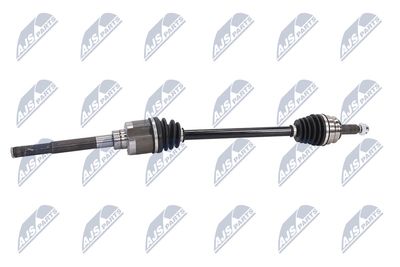 PLANETARA NTY NPWCH044 5