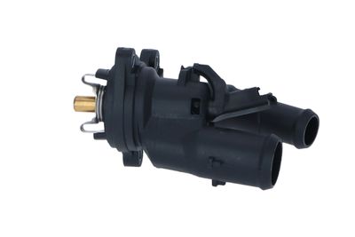 TERMOSTAT LICHID RACIRE NRF 725048 29