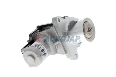 SUPAPA EGR ACKOJA A53630003 53