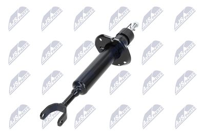 AMORTIZOR NTY AAU022 19