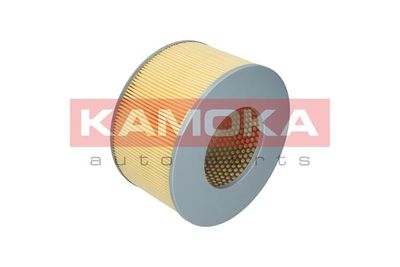 Air Filter F215901