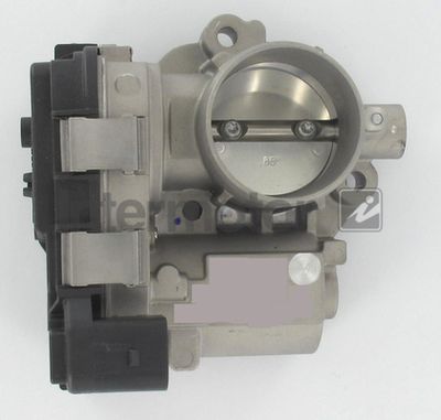 Throttle Body Intermotor 68448