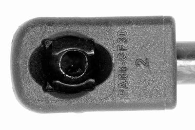 GASFEDER KOFFER-/LADERAUM VAICO V250229 2