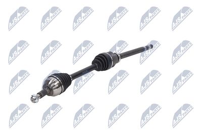 PLANETARA NTY NPWPE053 19