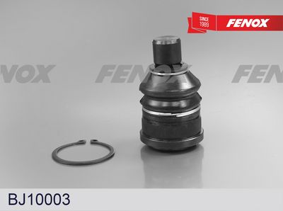 Шарнири FENOX BJ10003