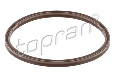 Tarpiklis, turbinos oro žarna