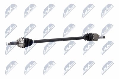 PLANETARA NTY NPWFR189 25