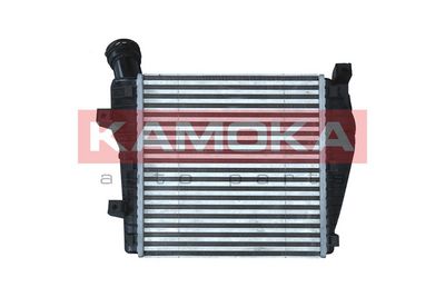 Charge Air Cooler 7750067