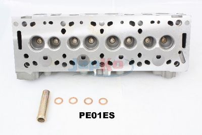 CHIULASA JAPKO JPE01ES 5