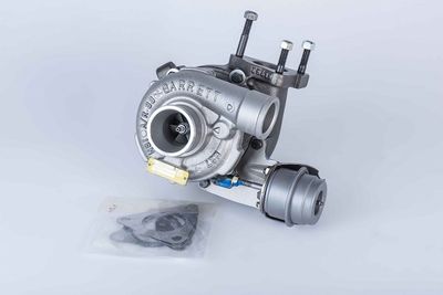 BorgWarner 57399900002