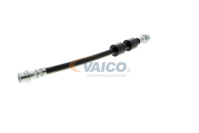 FURTUN FRANA VAICO V251328 29