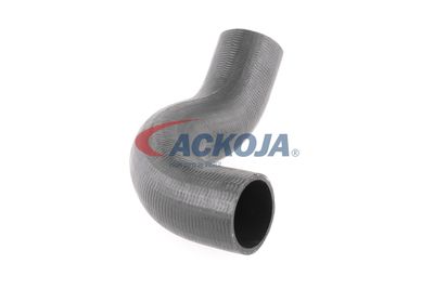 FURTUN EAR SUPRAALIMENTARE ACKOJA A380298 48