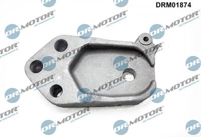 Mounting, engine DRM01874