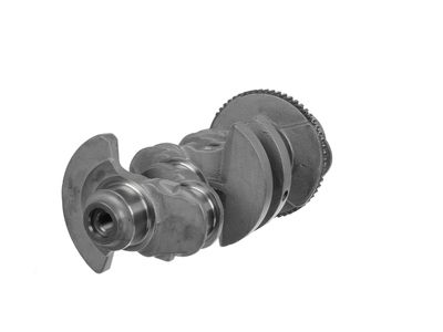 ARBORE COTIT ET ENGINETEAM HK0216 26