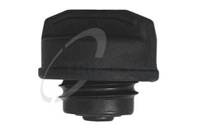 CAPAC REZERVOR DE COMBUSTIBIL