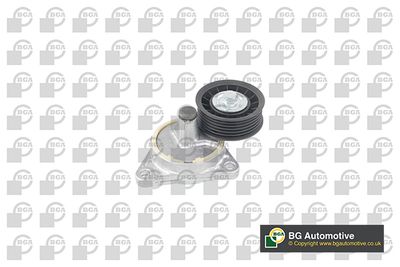 Napínací rameno, žebrovaný klínový řemen BGA DC2312