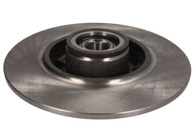Brake disc Achter Links/Rechts past: RENAULT MEGANE IV 1.2-1.8D 11.15-