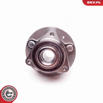 SET RULMENT ROATA ESEN SKV 29SKV122 2