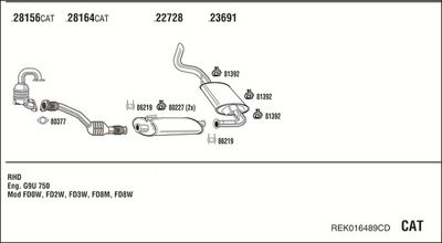 SISTEM DE ESAPAMENT WALKER REK016489CD