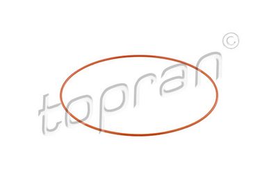 O-RING CAMASA CILINDRU