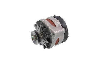 GENERATOR / ALTERNATOR REMANTE 011003000079R 11