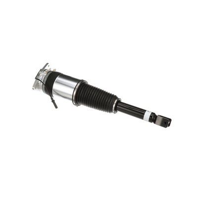 LUFTFEDERBEIN Arnott AS3030 30