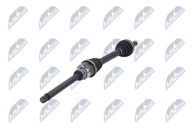 PLANETARA NTY NPWCT107 36