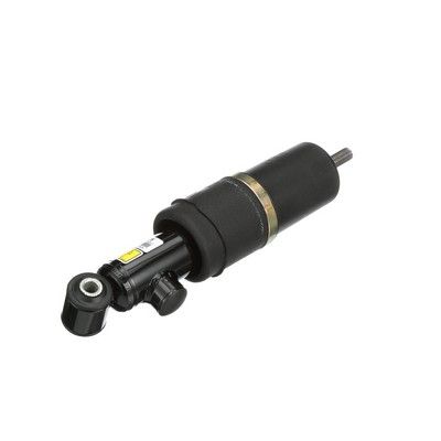 LUFTFEDERBEIN Arnott AS2125 39