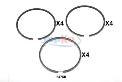SEGMENT PISTON