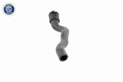 FURTUN RADIATOR VAICO V401766 3