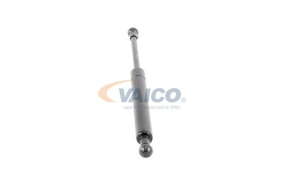GASFEDER KOFFER-/LADERAUM VAICO V100236 49