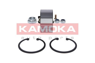 Wheel Bearing Kit 5600074