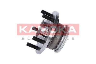 SET RULMENT ROATA KAMOKA 5500148 1