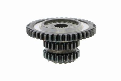 ROATA DINTATA ARBORE COTIT VAICO V104467 7