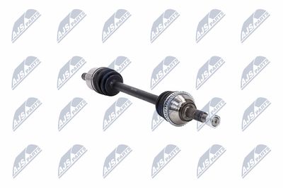 PLANETARA NTY NPWFR031 13