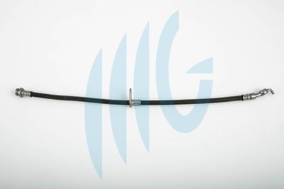 RICAMBIFLEX GM 02120189 Тормозной шланг  для SUZUKI SX4 (EY, GY) 1.6 VVT (RW 416)