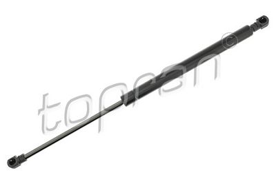 Dujinė spyruoklė, bagažinė