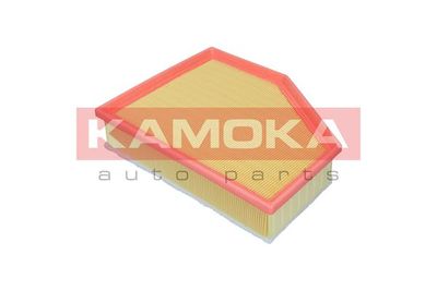 Air Filter F255701