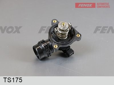 термостат, охладителна течност FENOX TS175