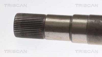 PLANETARA TRISCAN 854023564 1