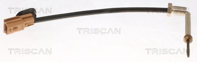 czujnik, temperatura spalin TRISCAN 8826 10041
