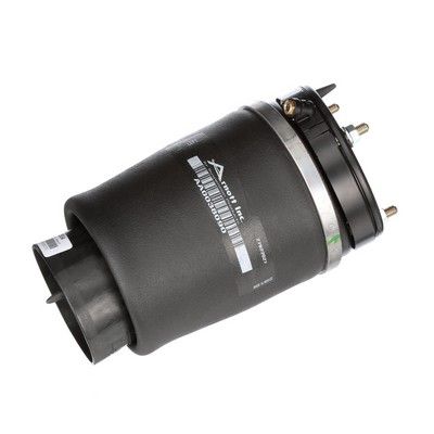 LUFTFEDER FAHRWERK Arnott A2934 62