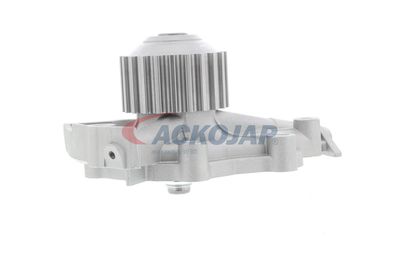 POMPă DE APă RăCIRE MOTOR ACKOJA A510700 33