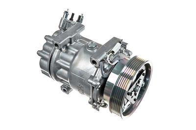 компресор, климатизация A.Z. Meisterteile AZMT-45-041-1158