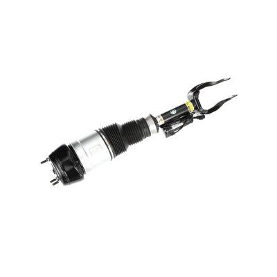 BRAT ARC PNEUMATIC Arnott AS3061 74