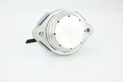 SUPORT MOTOR FEBEST BMMX5 24