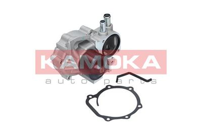 Water Pump, engine cooling T0261